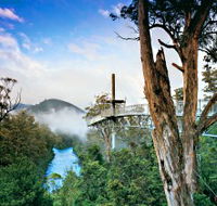 Tahune Adventures Tasmania - Accommodation Coffs Harbour