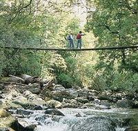 Arve Forest Drive - Accommodation Coffs Harbour