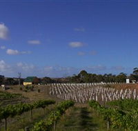 Deep Creek Wines and Alpacas - Accommodation Coffs Harbour