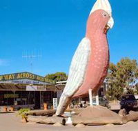 The Big Galah - Accommodation Coffs Harbour