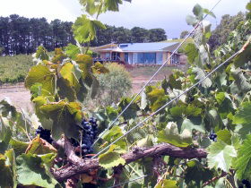 Zimmermann Wine - Accommodation Coffs Harbour 0