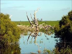 Accommodation Coffs Harbour