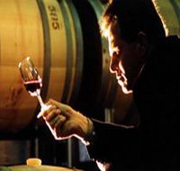 Salena Estate Wines - Accommodation Coffs Harbour