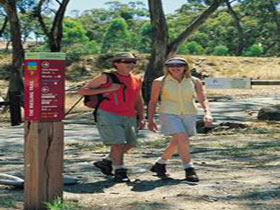 Riesling Trail - Accommodation Coffs Harbour 0