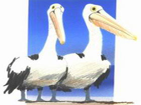 Bay Of Shoals Wines - Accommodation Coffs Harbour 0