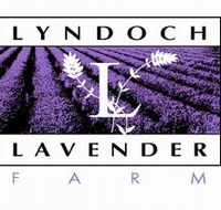 Lyndoch Lavender Farm and Cafe - Accommodation Coffs Harbour