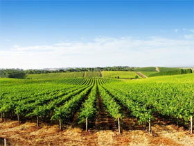  Accommodation Coffs Harbour