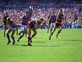 AAMI Stadium Tours - Accommodation Coffs Harbour 0