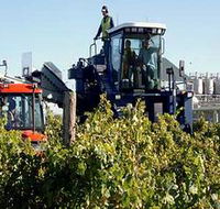 Ballast Stone Estate Wines Pty Ltd - Accommodation Coffs Harbour