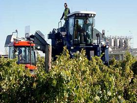 Ballast Stone Estate Wines Pty Ltd - Accommodation Coffs Harbour 0