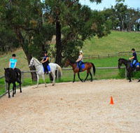 Megan Jones Riding School and Trail Rides - Accommodation Coffs Harbour
