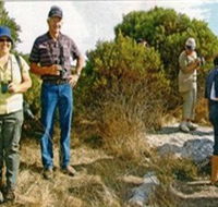 Coobowie Bird Hide - Accommodation Coffs Harbour
