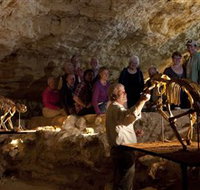Naracoorte Caves National Park - Accommodation Coffs Harbour