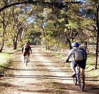 Bike About Mountain Bike Tours And Hire - Accommodation Coffs Harbour