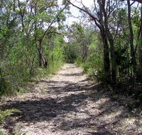 Wendy's Walk - Accommodation Coffs Harbour