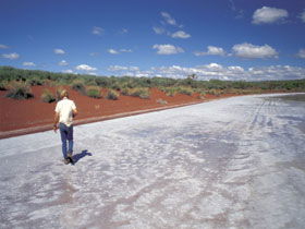 Lake Gairdner National Park - Accommodation Coffs Harbour 0