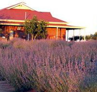 Bella Lavender Estate - Accommodation Coffs Harbour