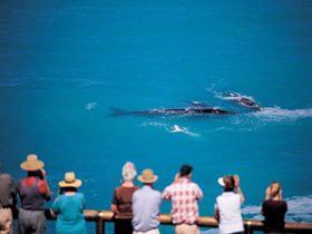 Nullarbor SA Accommodation Coffs Harbour