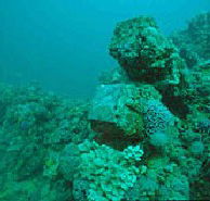 Adelaide's Underwater Heritage Trail - Accommodation Coffs Harbour