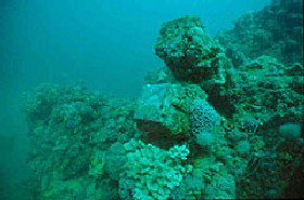 Adelaide's Underwater Heritage Trail - Accommodation Coffs Harbour 0