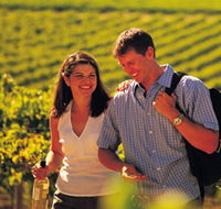 Lady Bay Vineyard - Accommodation Coffs Harbour
