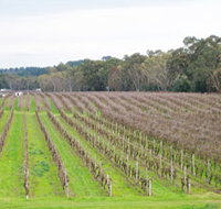 Dennis Wines - Accommodation Coffs Harbour