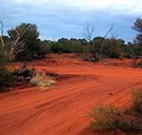 Tallaringa Conservation Park - Accommodation Coffs Harbour