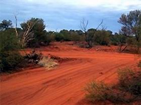 Tallaringa Conservation Park - Accommodation Coffs Harbour 0