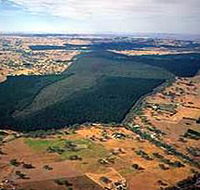 Mount Crawford Forest Reserve - Accommodation Coffs Harbour