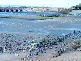 Jervois Basin Ships' Graveyard - Accommodation Coffs Harbour 0