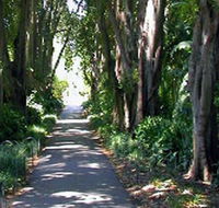 Adelaide Botanic Garden - Accommodation Coffs Harbour