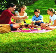 Bruny Island Berry Farm - Accommodation Coffs Harbour