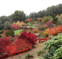 Emu Valley Rhododendron Garden - Accommodation Coffs Harbour