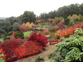 Emu Valley Rhododendron Garden - Accommodation Coffs Harbour 0