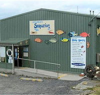 Stanley Seaquarium - Accommodation Coffs Harbour