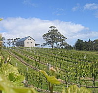 Bruny Island Premium Wines Bar and Grill - Accommodation Coffs Harbour