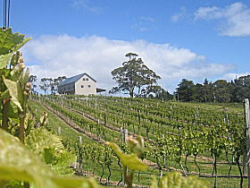 Bruny Island Premium Wines Bar And Grill - Accommodation Coffs Harbour 0