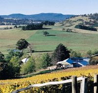 Freycinet Vineyards Pty Ltd - Accommodation Coffs Harbour