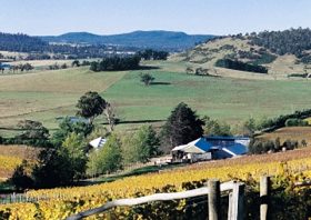 Freycinet Vineyards Pty Ltd - Accommodation Coffs Harbour 0