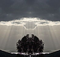 aart. Gallery of Fine Art - Accommodation Coffs Harbour