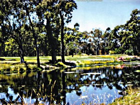 South Forest TAS Accommodation Coffs Harbour