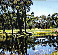 Smithton Country Club - Accommodation Coffs Harbour