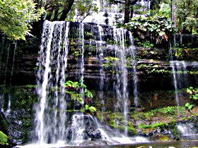Mt Field National Park - Accommodation Coffs Harbour 0