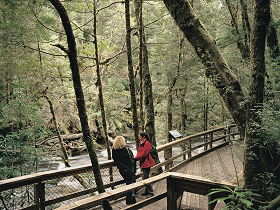Franklin River Nature Trail - Accommodation Coffs Harbour 0
