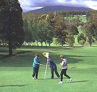 Deloraine Golf Course - Accommodation Coffs Harbour