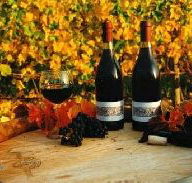Craigow Vineyard - Accommodation Coffs Harbour