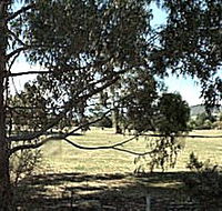 Cygnet Public Golf Course - Accommodation Coffs Harbour
