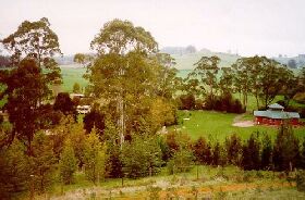 The Tasmanian Arboretum - Accommodation Coffs Harbour 0