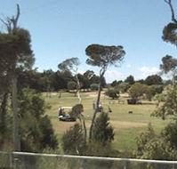 Greens Beach Golf Course - Accommodation Coffs Harbour
