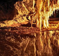 Marakoopa Cave - Accommodation Coffs Harbour